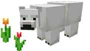 bear_img