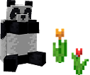 panda_img