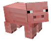 pig_img